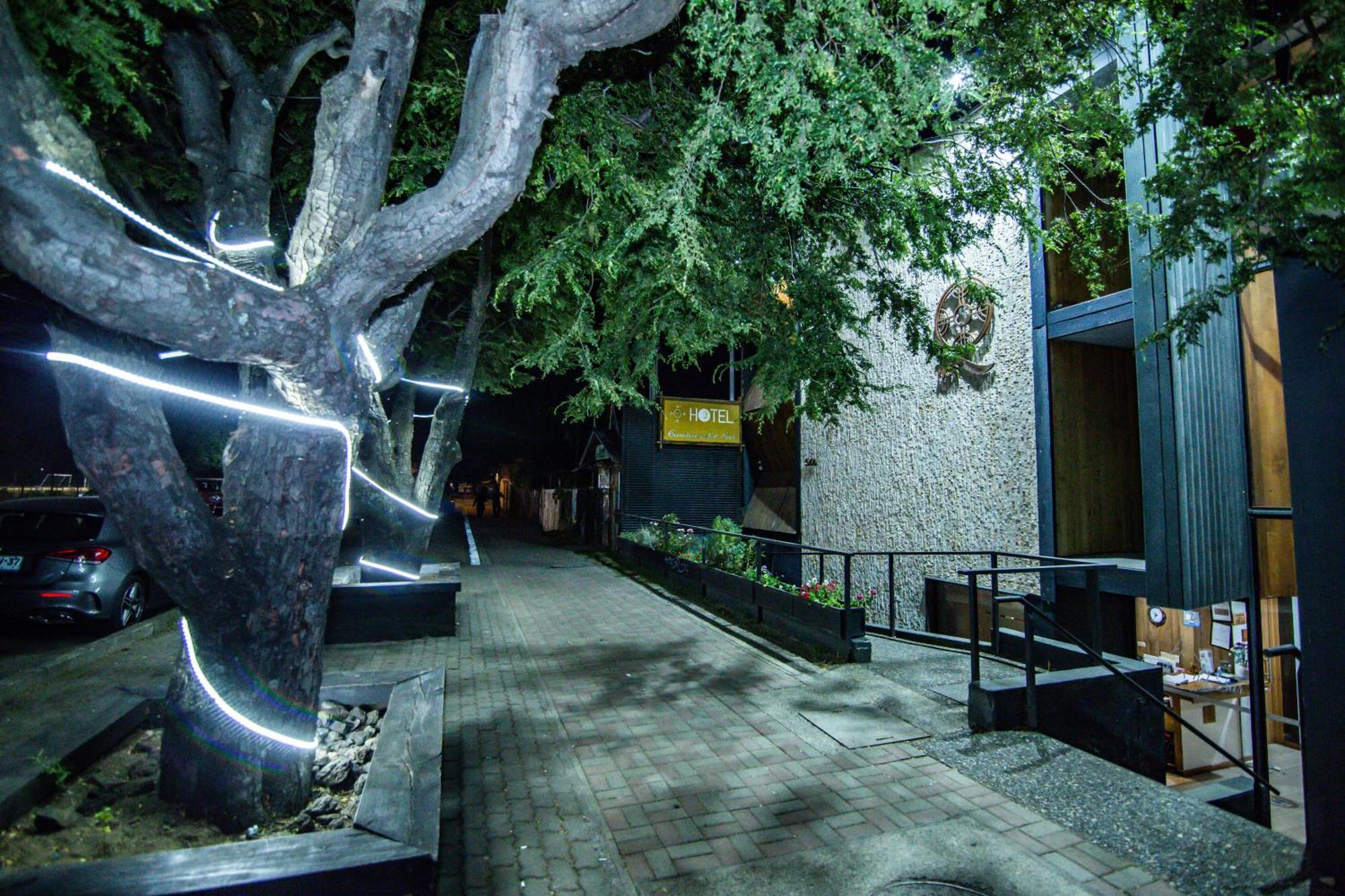 Hotel Cumbres Del Sur Pucón Buitenkant foto